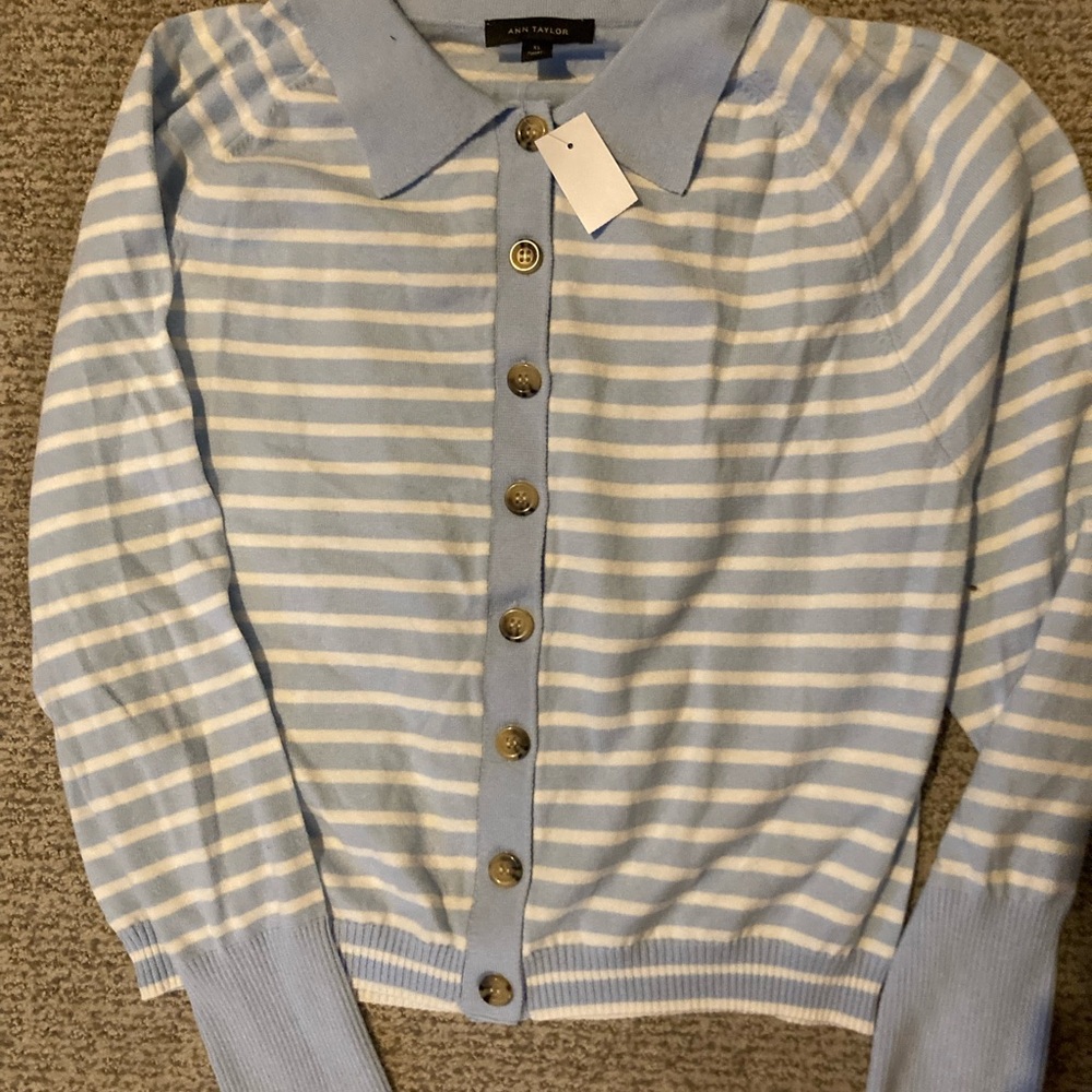 Ann Taylor Light Blue and White Striped Cardigan